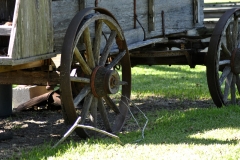 _DSC0094