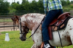 RidersShowCase1520150530_0299-edit-crop
