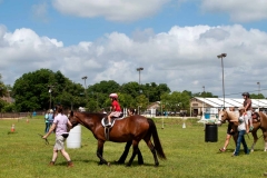 RidersShowCase1520150530_0712-edit-crop