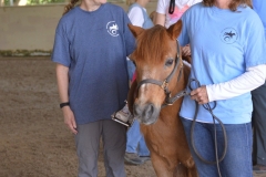 SaddleLightCenter-Newsletter-2015-08-sl1