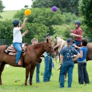About Equine Therapy