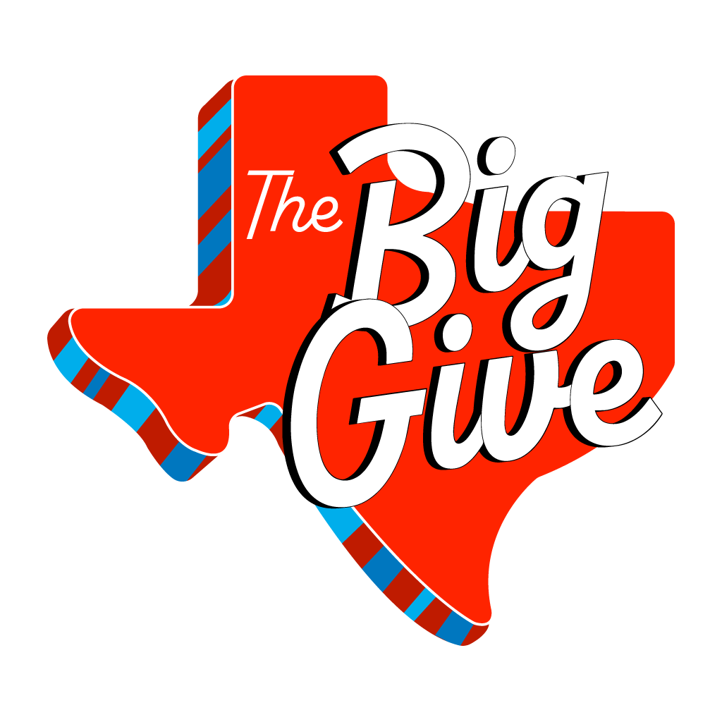 The Big Give logo 2024