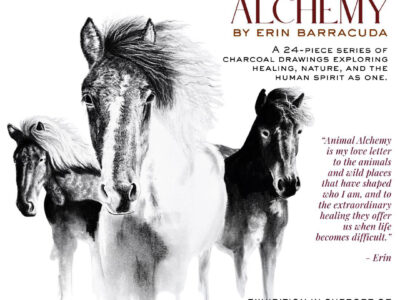 Animal Alchemy Flyer